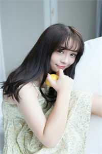 西柏林的陌生人